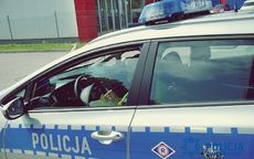 Świdnica: Świdniccy policjanci zatrzymali mężczyznę, który kierował pojazdem pomimo cofniętych uprawnień