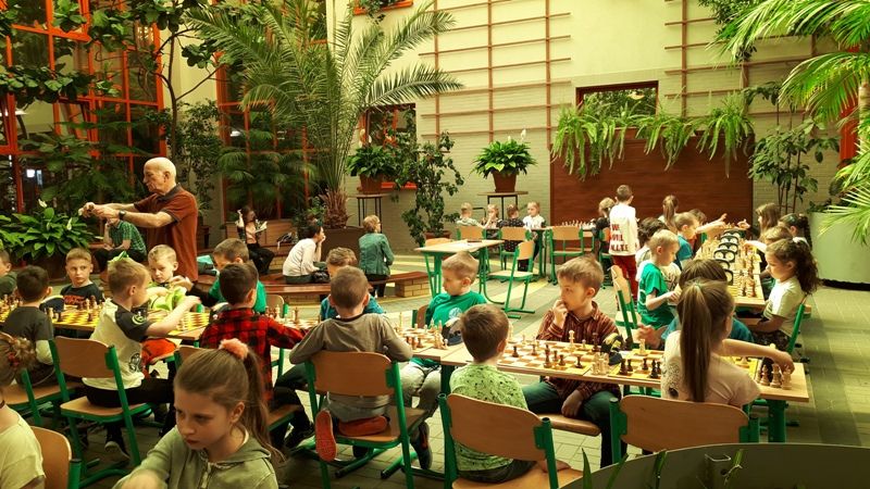 Żarów: Młodzi szachiści nie próżnują