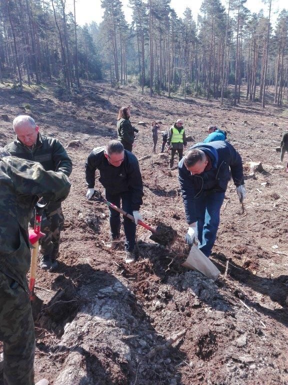 Gmina Marcinowice: Społeczne sadzenie lasu