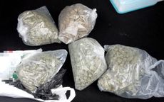 powiat świdnicki: 1 kg marihuany i tymczasowy areszt dla zatrzymanego