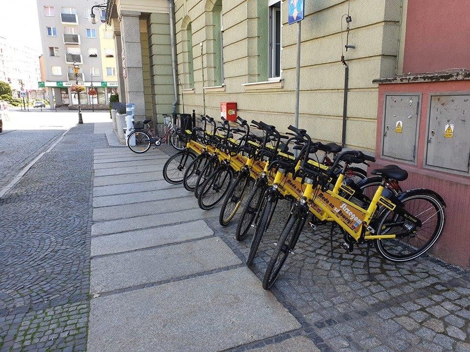 Strzegom: Wypożyczają rowery