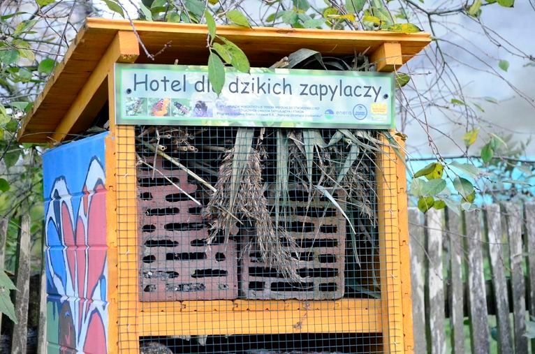 Wierzbna: Hotele dla owadów