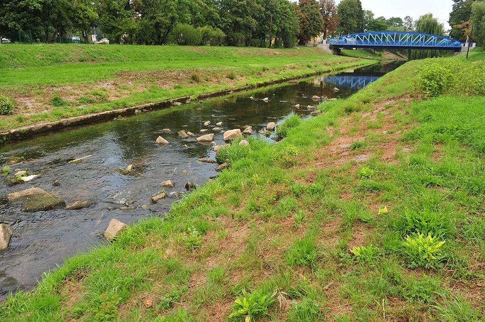 Świdnica: Zadbają o rzekę