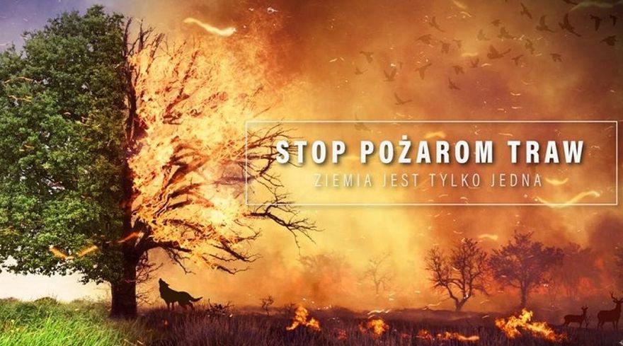 Jaworzyna Śląska: Wypalanie jest karalne