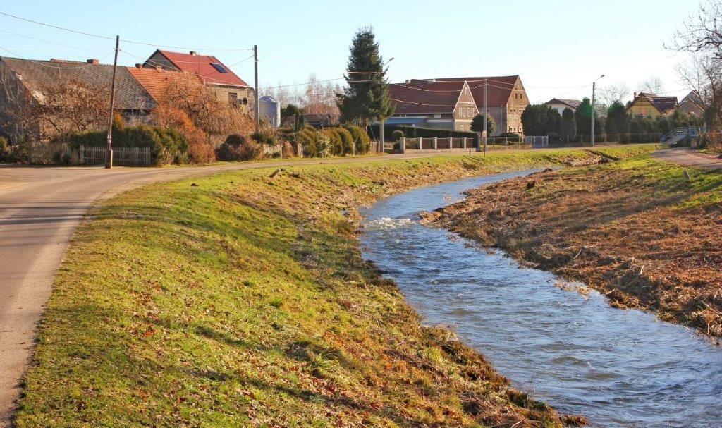 Gmina Dobromierz: Rzeka posprzątana
