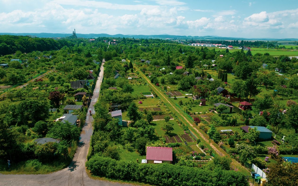 Świdnica: Dotacje dla ogrodów działkowych