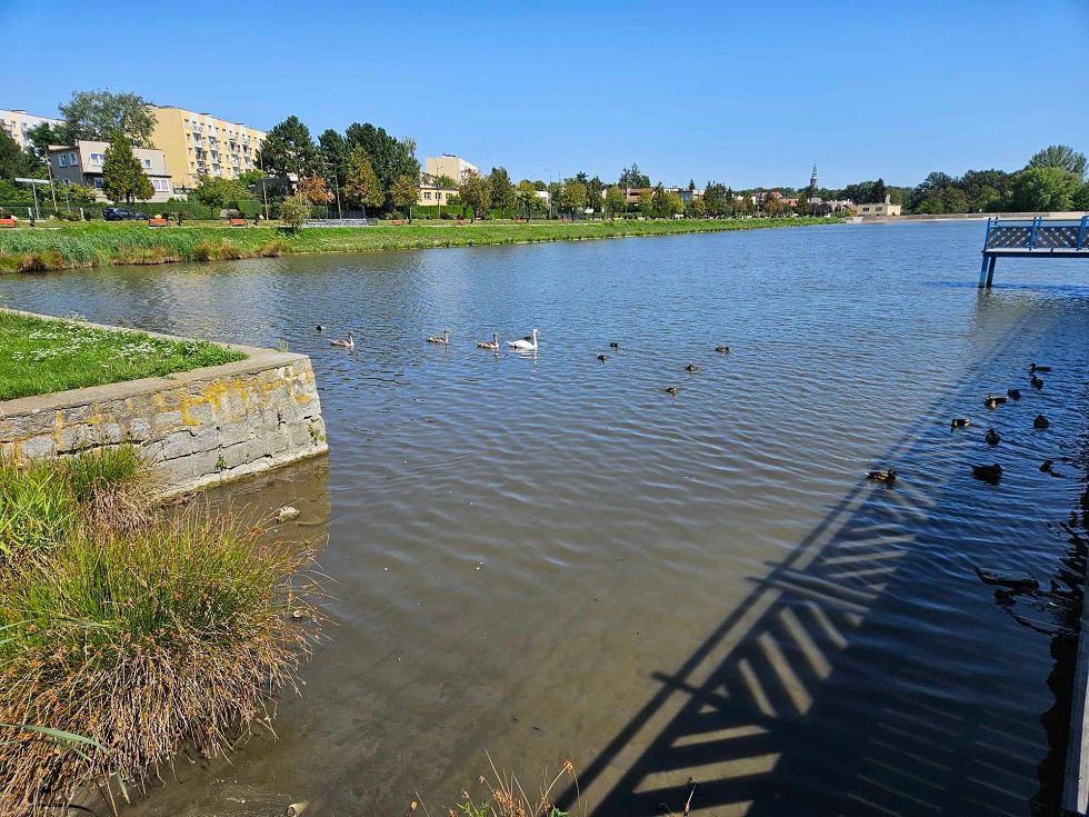 Świdnica: Wyznaczyli nowy termin