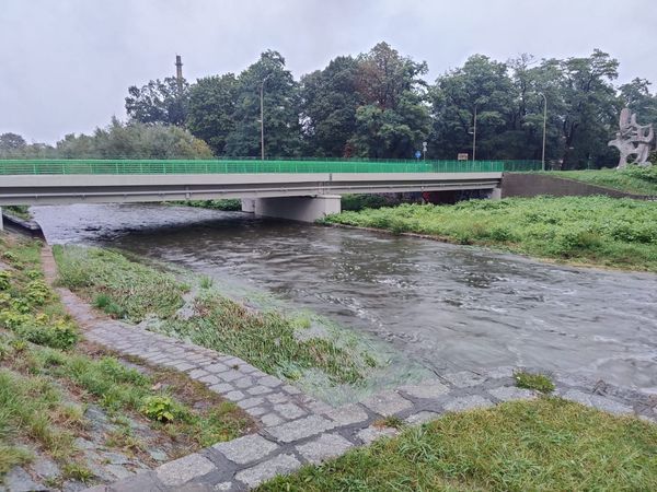 Świdnica: Na razie stabilnie