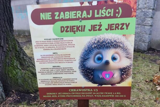 Świebodzice: Jeże znajdą schronienie