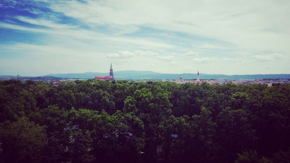 Świdnica: To będą specjalne zajęcia