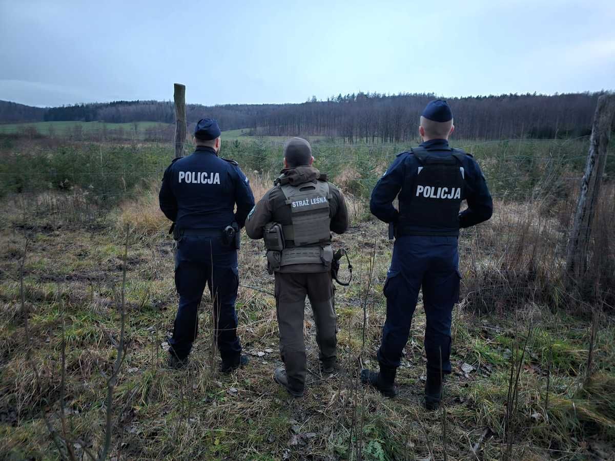 Świdnica/powiat świdnicki: Skontrolowali obszary leśne